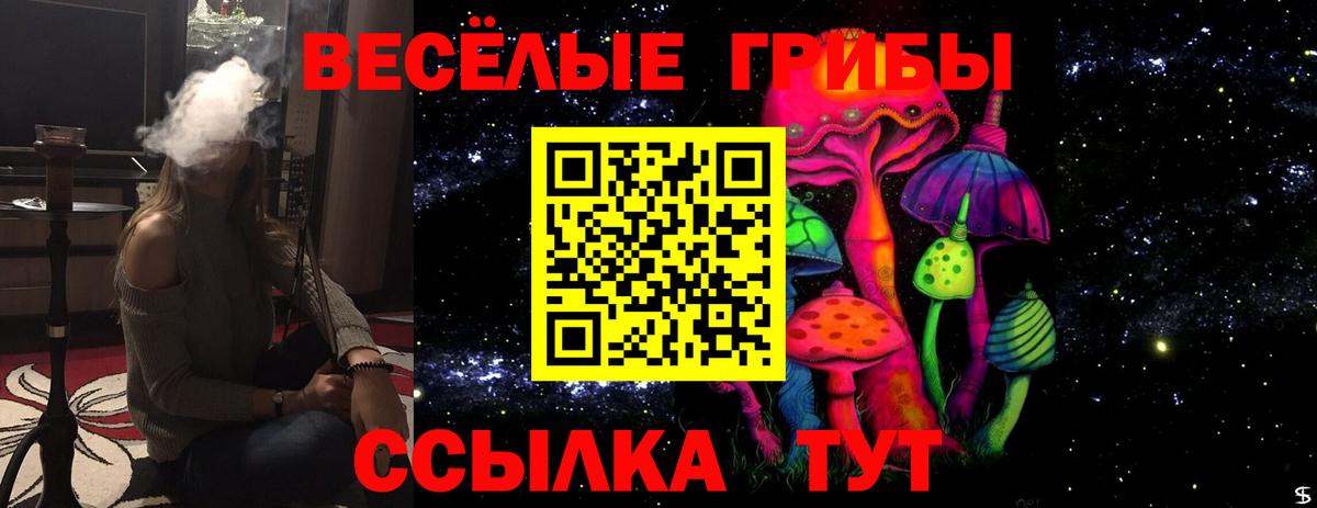Галлюциногенные грибы MAGIC MUSHROOMS Ейск